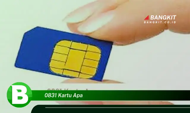 Intip Hal Tentang Kartu 0831 yang Wajib Kamu Ketahui