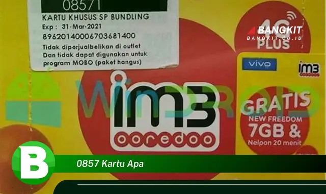 Intip Hal Tentang Kartu 0857 yang Bikin Kamu Penasaran!