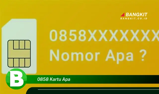 Kepoin Hal Asik Tentang Kartu 0858 yang Bikin Kamu Penasaran