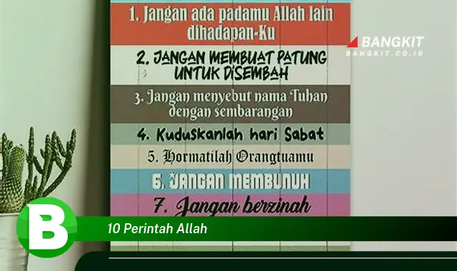 Ketahui 10 Perintah Allah yang Wajib Kamu Intip