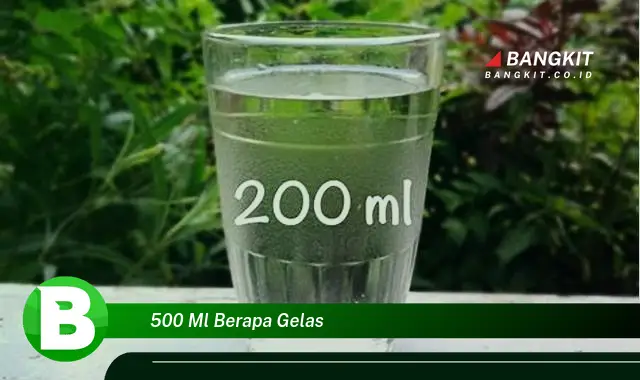 Ketahui Hal Penting Soal "500 ml Berapa Gelas" yang Bikin Kamu Penasaran