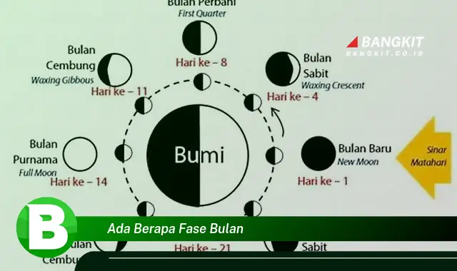 Intip Hal Tentang "Ada Berapa Fase Bulan" yang Wajib Kamu Intip