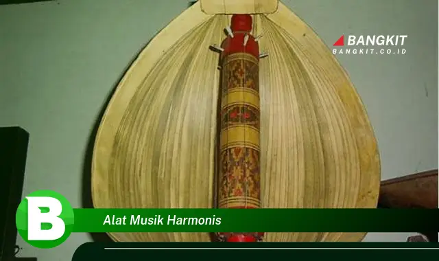 Intip Hal Tentang Alat Musik Harmonis yang Bikin Kamu Penasaran