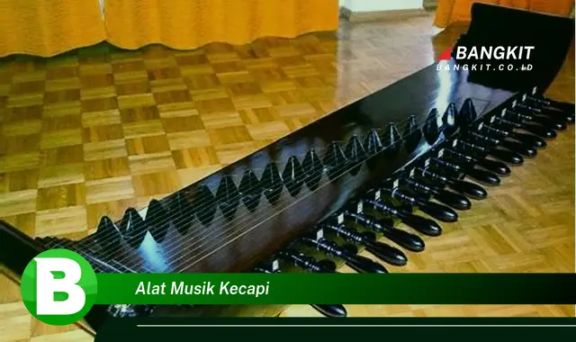 Ketahui Hal Seputar Alat Musik Kecapi yang Bikin Kamu Penasaran