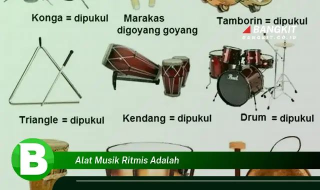 Intip Hal Tentang Alat Musik Ritmis yang Bikin Kamu Penasaran