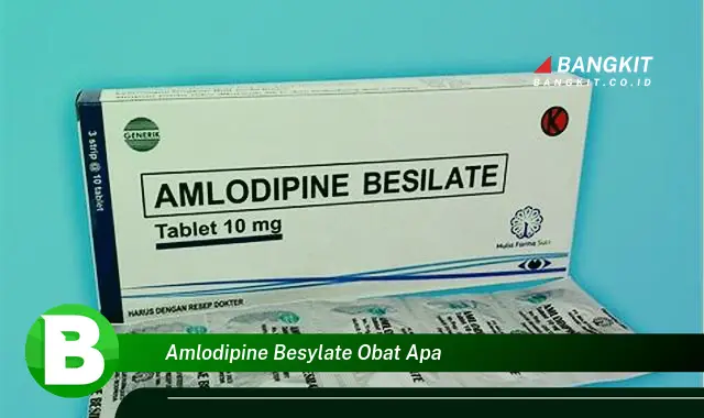 Intip Hal Tentang Amlodipine Besylate yang Wajib Kamu Ketahui