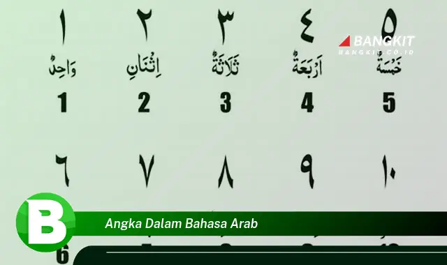 Ketahui Rahasia Menarik Angka Dalam Bahasa Arab yang Jarang Diketahui