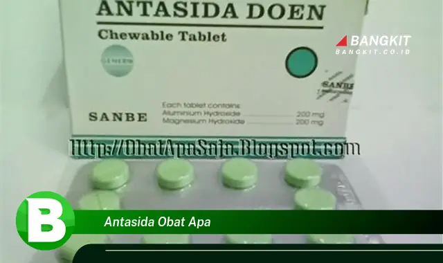 Ketahui Hal Tentang Antasida Obat Apa yang Bikin Kamu Penasaran