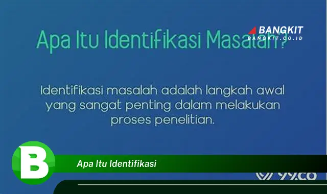 Intip Hal Tentang Identifikasi yang Wajib Kamu Intip