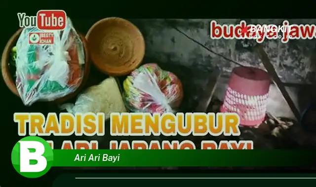 Intip Hal Tentang Ari-Ari Bayi yang Bikin Kamu Penasaran