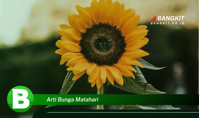 Intip Arti Bunga Matahari yang Jarang Diketahui