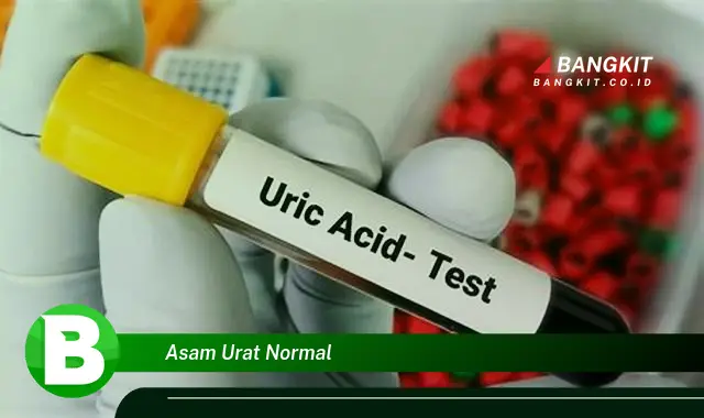 Intip Hal Tentang Asam Urat Normal yang Bikin Kamu Penasaran