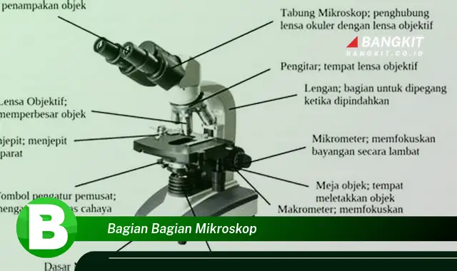 Intip Bagian-Bagian Mikroskop yang Wajib Kamu Tahu