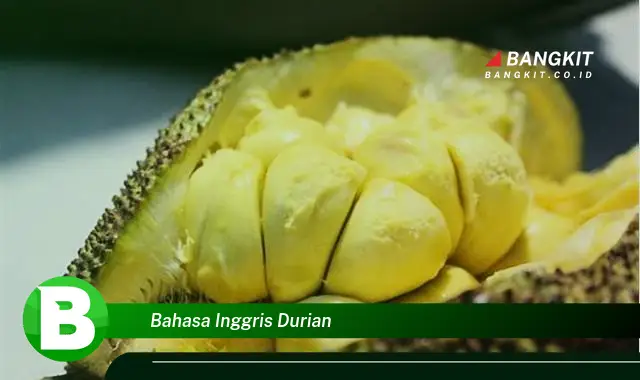 Intip Rahasia Bahasa Inggris Durian yang Jarang Diketahui