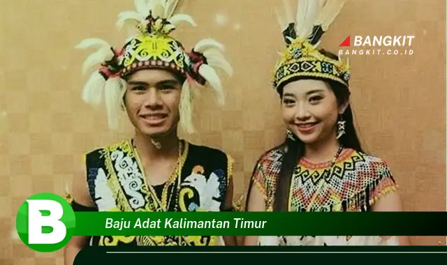 Intip Hal Tentang Baju Adat Kalimantan Timur yang Wajib kamu Intip