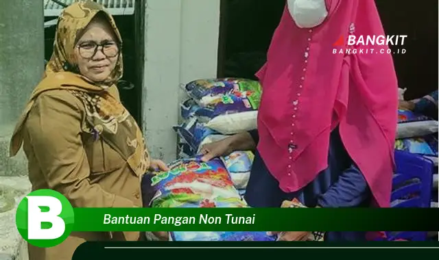 Intip Hal Tentang Bantuan Pangan Non Tunai yang Bikin Kamu Penasaran