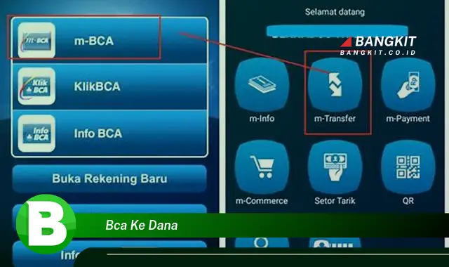 Ketahui Hal tentang Transaksi BCA ke Dana yang Jarang Diketahui