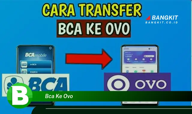 Intip Hal Tentang BCA ke OVO yang Wajib Kamu Tahu