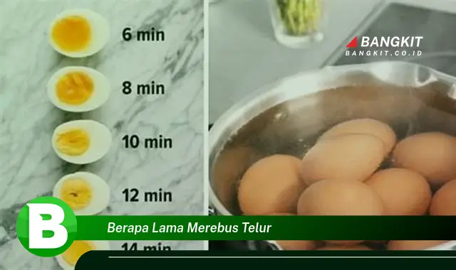 Intip Hal Tentang "Berapa Lama Merebus Telur" yang Bikin Kamu Penasaran