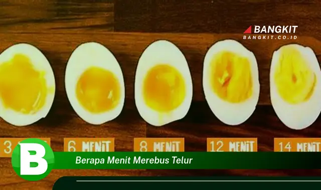 Ketahui Hal Tentang Berapa Menit Merebus Telur yang Bikin Kamu Penasaran