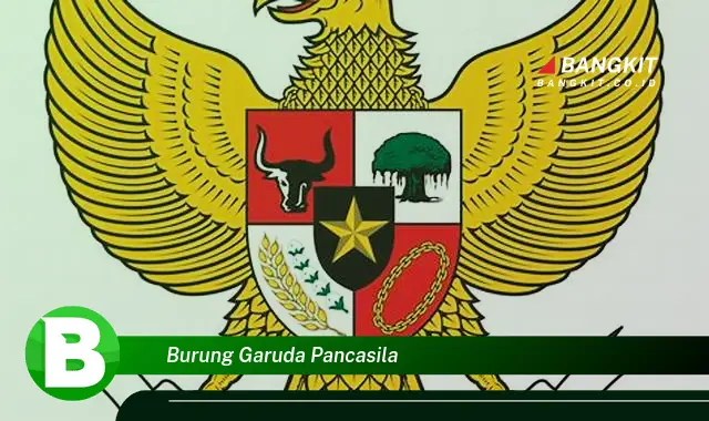 Ketahui Rahasia Burung Garuda Pancasila yang Bikin Kamu Penasaran!