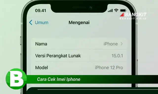 Intip Hal Tentang IMEI iPhone yang Bikin Kamu Penasaran