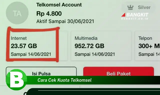 Kepoin Cara Cek Kuota Telkomsel yang Jarang Diketahui