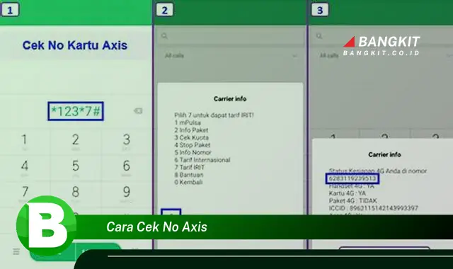 Ketahui Cara Cek Nomor Axis yang Jarang Diketahui