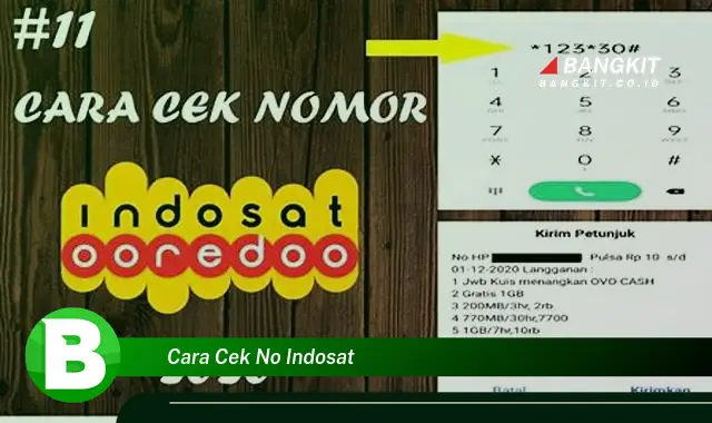 Intip Cara Cek Nomor Indosat yang Bikin Kamu Penasaran!