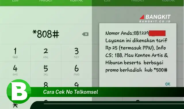 Intip Hal Tentang Cara Cek No Telkomsel Yang Bikin Kamu Penasaran