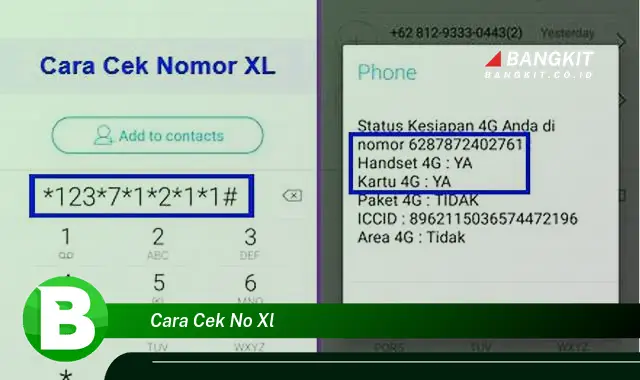 Ketahui Hal Tentang Cara Cek Nomor XL yang Bikin Kamu Penasaran