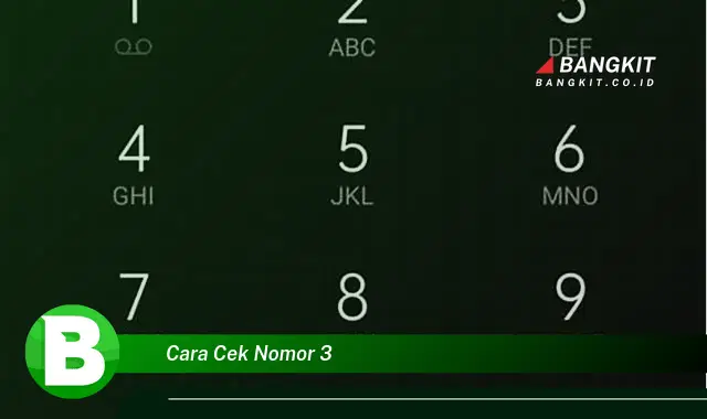 Intip Rahasia Cara Cek Nomor 3 yang Bikin Kamu Penasaran
