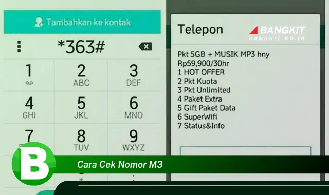 Intip Rahasia Cek Nomor M3 yang Jarang Diketahui