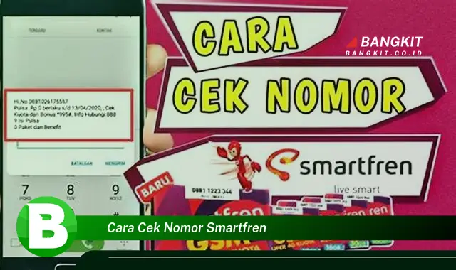 Intip Rahasia Cek Nomor Smartfren yang Jarang Diketahui