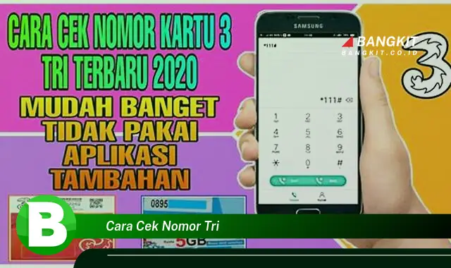 Intip Hal Tentang Cara Cek Nomor Tri yang Bikin Kamu Penasaran!