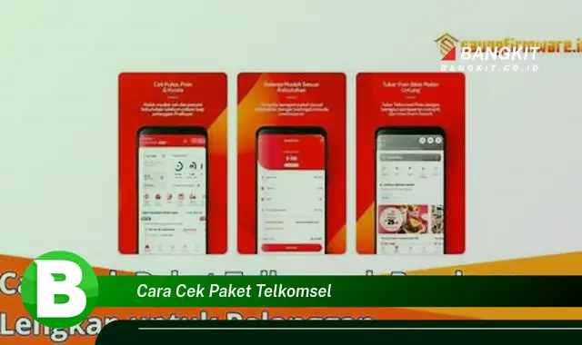 Intip Cara Cek Paket Telkomsel Terbaru yang Jarang Diketahui