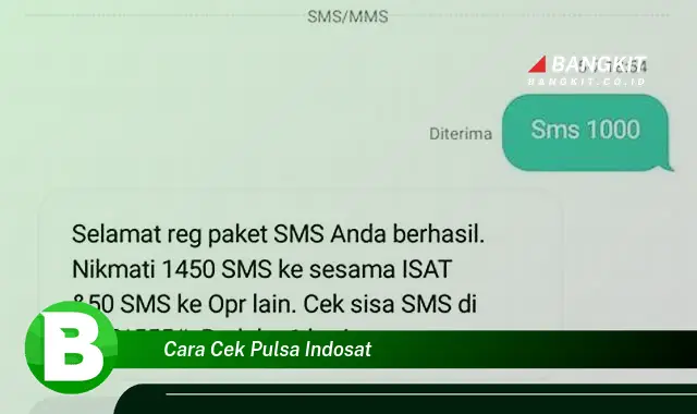 Ketahui Hal Tentang Cara Cek Pulsa Indosat yang Bikin Kamu Penasaran