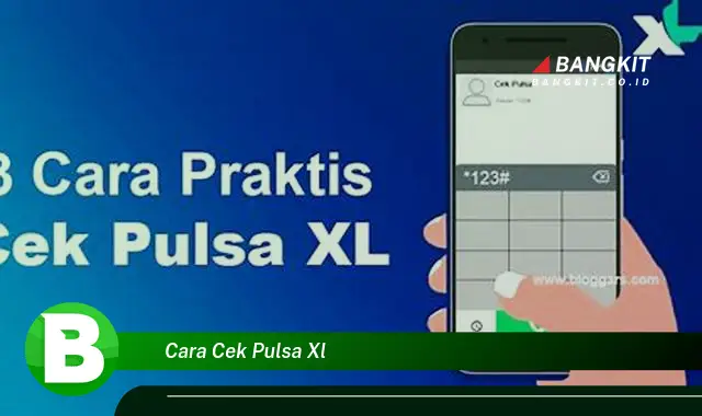 Ketahui Cara Cek Pulsa XL yang Bikin Kamu Penasaran