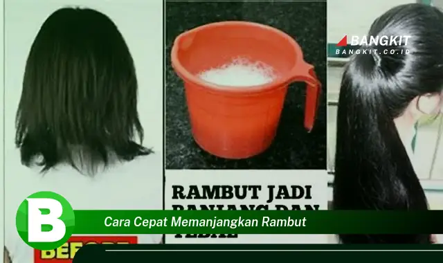 Intip Rahasia Memanjangkan Rambut Cepat yang Wajib Kamu Ketahui