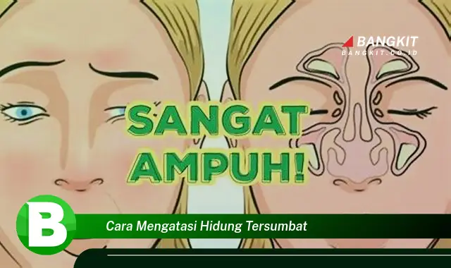 Intip Rahasia Cara Mengatasi Hidung Tersumbat yang Wajib Kamu Ketahui