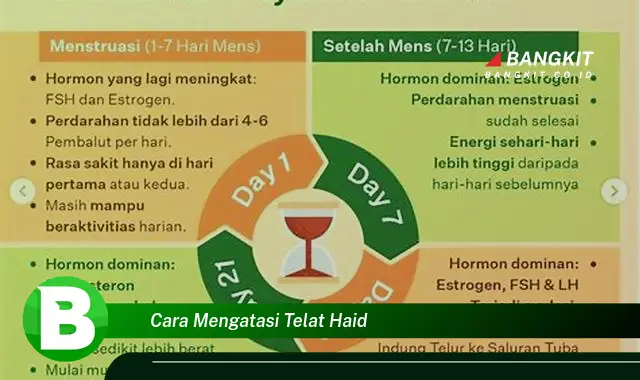 Intip Hal Tentang Atasi Telat Haid yang Wajib Kamu Tahu!