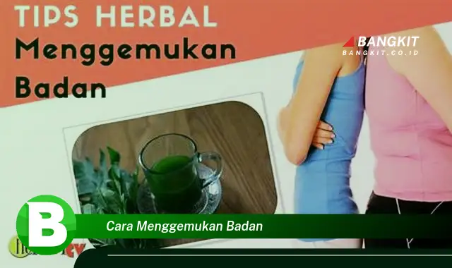 Intip Hal Menarik yang Wajib Kamu Tahu Tentang Cara Menggemukan Badan!