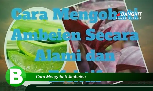 Intip Hal Seputar Cara Mengobati Ambeien yang Bikin Kamu Penasaran