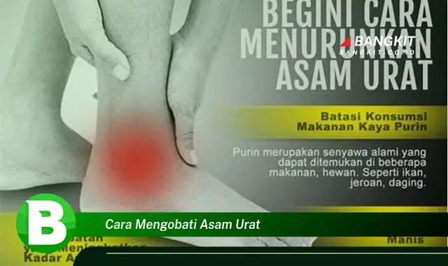 Intip Hal Tentang Cara Mengobati Asam Urat yang Bikin Kamu Penasaran!