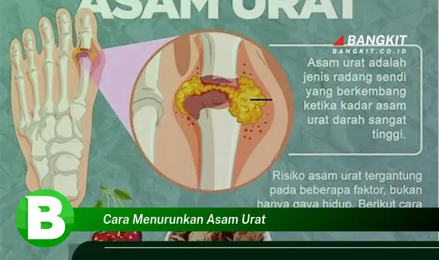 Intip Cara Menurunkan Asam Urat yang Wajib Kamu Intip!