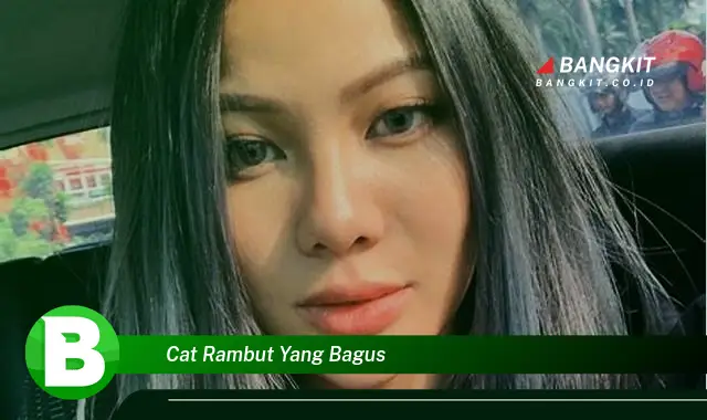 Intip Hal Tentang Cat Rambut Bagus yang Jarang Diketahui