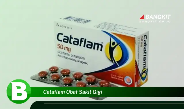 Intip Hal Tentang Cataflam Obat Sakit Gigi yang Wajib Kamu Intip