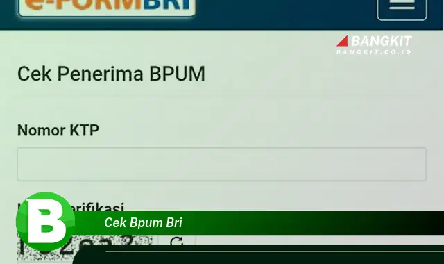 Intip Hal Penting Yang Wajib Kamu Ketahui Soal Cek BPUM BRI