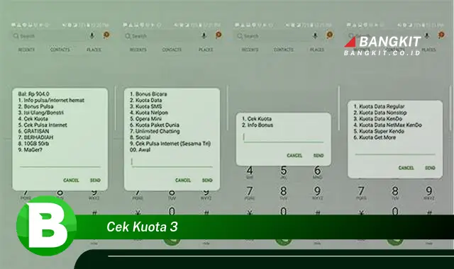 Intip Rahasia Cek Kuota 3 yang Jarang Diketahui!
