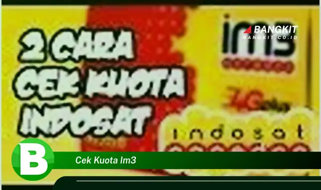 Intip Hal Tentang Cek Kuota IM3 yang Bikin Kamu Penasaran